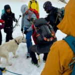 Dog Survives 9 Days Atop Frigid 1,900m Peak in NW Greece