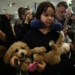 Dogs of War: Dozens of Pets Repatriated to Greece from the Middle East