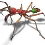 A particle accelerator helped scientists create stunning 3D ants