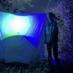 Research: Moths are flying later in the year than a century ago