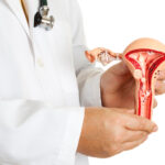 Scientists Develop a New Patient-Derived Organoid Model for Studying Endometriosis Subtypes