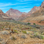 Scientists issue warning about ‘drought paradox’ sucking up critical water source