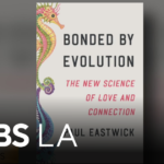 “Bonded By Evolution: The Science of Love and Connection” explores what we prioritize in romantic re