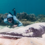 There may be 10 times as many citizen scientists in Australia as we thought – and that’s great news for science