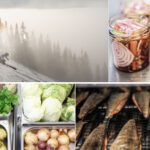 Food for White Winters: FIS Initiative Fueling Athletic Performance with Climate-Smart Food