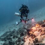 Greece Unveils Ancient Shipwrecks as New Diving Destinations in the Aegean