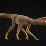 This crocodile ran like a greyhound across prehistoric Britain 200 million years ago