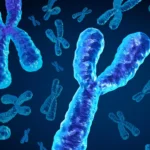 Men are losing a key chromosome with age and it may be deadly