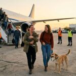 Greece’s Game-Changing Animal Airlift Evacuates Pets from Middle East Crisis – A Lifeline for Families and Their Beloved Companions