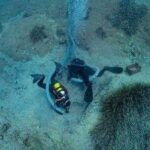 Divers find marble treasure possibly taken from Greek Parthenon at shipwreck site in Aegean Sea