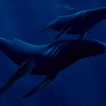 Artist Blends Science and Art to Paint Majestic Marine Mammals