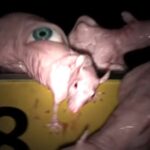 13 Upcoming Horror Movies Releasing in Spring 2026