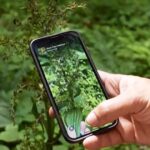 How iNaturalist app users have fun while aiding science
