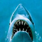 10 Best Steven Spielberg Movies Based on Books, Ranked