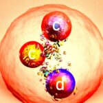 Large Hadron Collider Discovers All-New Particle