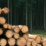 Scientists break lignin’s strongest bonds to turn wood waste into fuel