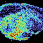 Scientists discover why cancer drugs don’t work for everyone