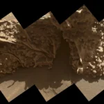 NASA’s Curiosity rover investigates strange spiderweb ridges on Mars