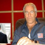 Epstein accountant tells House committee pedophile had five paying clients for financial services: Comer