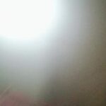 @sehrishocane29     …