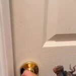 @.biplob.vai      @﷽﷽محمد طيب الرحمن﷽﷽ @﷽﷽mdmosharef ﷺﷺ @ F FARUK @MD JAHANGIR @…