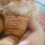 @nida.raza18        …