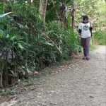 @usa.funny540       viralfollowersplease …