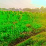 @imran.ali.426 foruyou      …