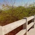 @singersamiranaz5       …