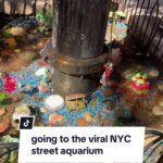 @ridge.x this is easily the best thing to see in NYC @Passionfruit @Hajjmalik Lo…