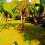 @khalidziazia3   song        …