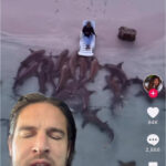 @nunchakusdragon Animal magnet man         …