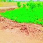 @imran.ali.426 foruyou      …