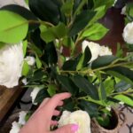 @kentucky.mrs..tru Wow now I understand why their going viral       …