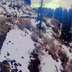 @kashmiri4843      …