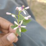 @baghii804          …