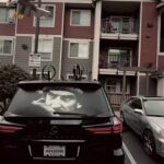 @zall_amrica       …