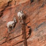 Nine tips to help you cope during turbulent times