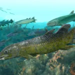 400 million-year-old fish fossils reveal how life began moving onto land