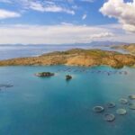 Daily recap: Cooke confirms deal for Avramar Greece; Canada’s Champlain off market