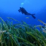 Study Finds Deepest Point of Mediterranean in Greece’s Ionian Sea Is Full of Litter