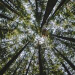 Global Innovation Lab to incubate eight climate finance solutions for emerging markets