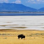 Scientists Detect Something Bizarre in Subterranean Structures Under the Great Salt Lake