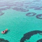 They are called “donuts” and look like fairy circles underwater, but science is baffled because no one yet knows what mechanism draws these perfect giant rings on the seabed off the coast of Scotland