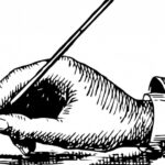 Epstein Comments and Greece’s Vulnerability