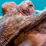 Celebrate Discovery at FAU’s Annual Art of Science Gallery Opening