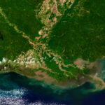 Severe U.S. drought undermined Gulf fisheries, raising food security concerns