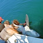 Long Island shark fishing: Some anglers now catch sharks for science, not just for sport