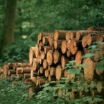 Fashion for Good aims to scale biobased polyester