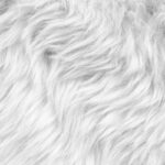 This Fashion Brand Is Making Fur From Plants and It Could Change Everything – One Green Planet